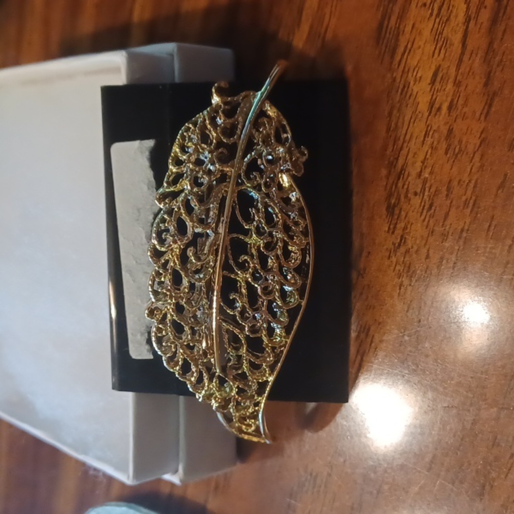 New brooch.